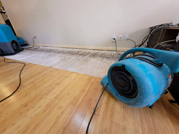 Professional Basement Flood Cleanup technician working in Coldwater, OH
